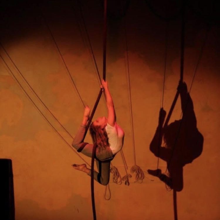 Brigid-inner-bio-1 Brigid on Rope in 2013